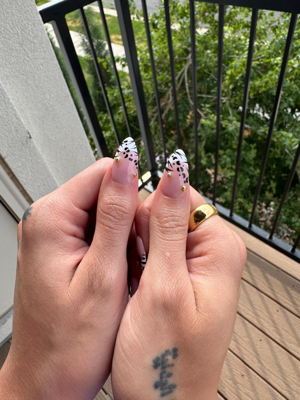 Zebra & leopard blooming flowers